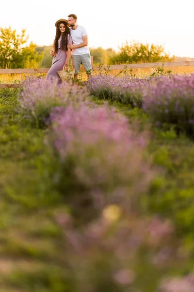 Jong Paar Liefde Ontspannen Het Veld Bij Zonsondergang — Stockfoto