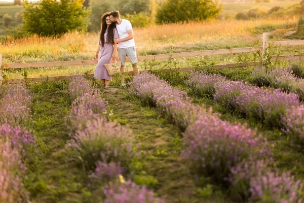 Jovem Casal Apaixonado Beijando Campo Pôr Sol — Fotografia de Stock