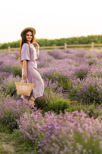 Beautiful Young Woman Field Lavenders — Fotografia de Stock