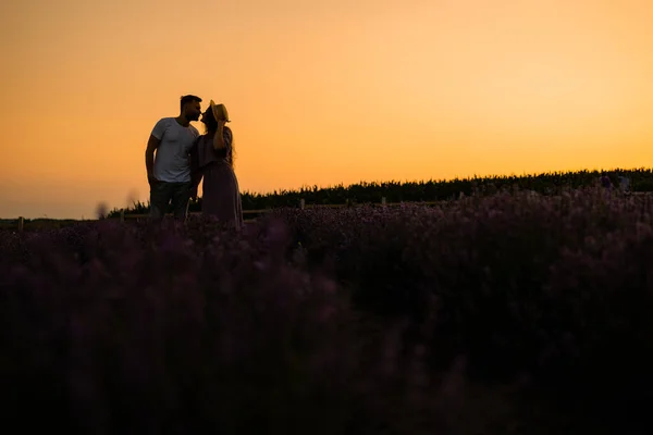 Genç Çift Gün Batımında Tarlada Öpüşüyor — Stok fotoğraf