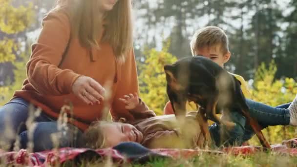 Η μαμά με τα δύο μικρά παιδιά και το σκυλί της να διασκεδάσουν έξω. — Αρχείο Βίντεο