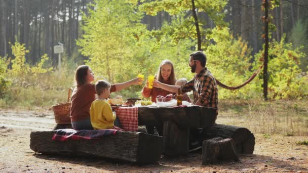 Mensen op een picknick op een rustplaats in een dennenbos — Stockvideo