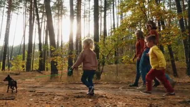 Family with children and dog walking in the woods — Stock Video