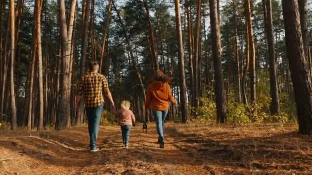 Una familia de tres con un perro está paseando en un bosque de pinos — Vídeo de stock