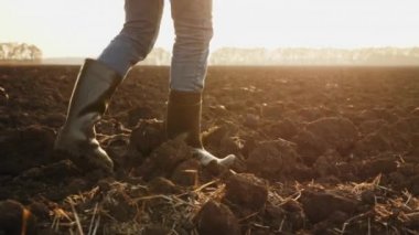 Kauçuk çizmeli bir tarım uzmanı gün batımında kuru bir tarlada yürüyor.