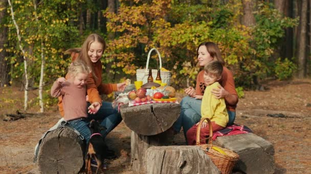 Madres con niños y un perro en un picnic en el bosque — Vídeo de stock