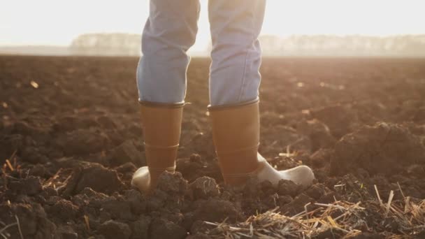 Rolnik w gumowych butach stojący na suchym polu ornym — Wideo stockowe