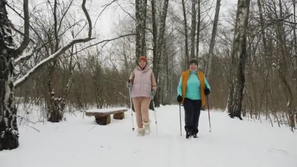 Frauen üben Nordic Walking im verschneiten Wald — Stockvideo