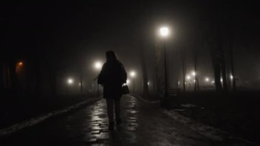 Bir erkek soyguncu bir kadından cüzdan ile bir çanta alır.