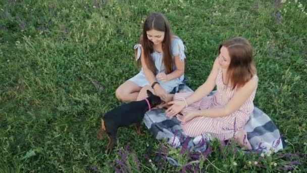 Mamá e hija acarician al perro en la naturaleza — Vídeo de stock