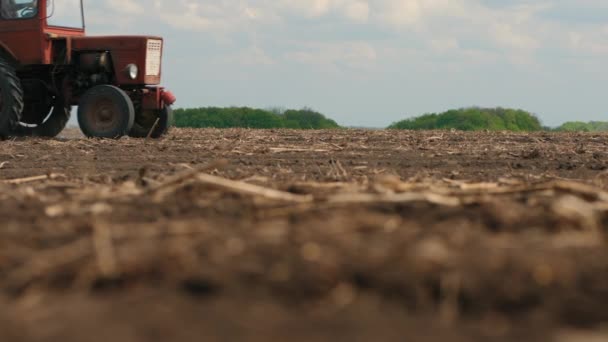 Starý rezavý traktor s válečkem pracuje v terénu — Stock video