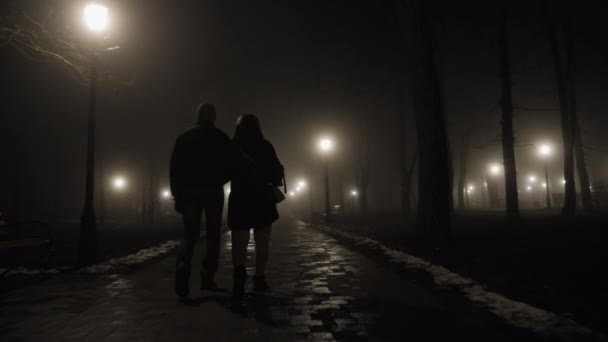Vista posteriore di una coppia che cammina in un parco notturno nebbioso — Video Stock