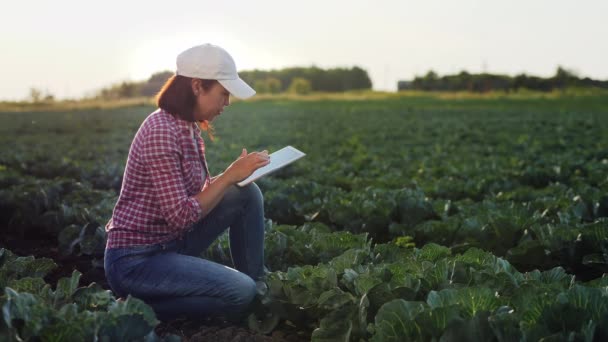 Agronomista inspeciona o crescimento de repolho em um campo de fazenda — Vídeo de Stock