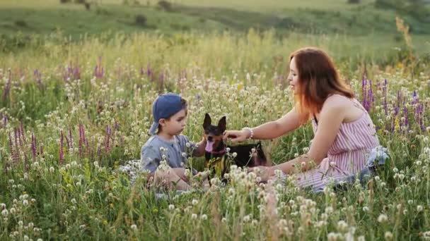 Jonge moeder met haar zoontje hondje in de natuur — Stockvideo