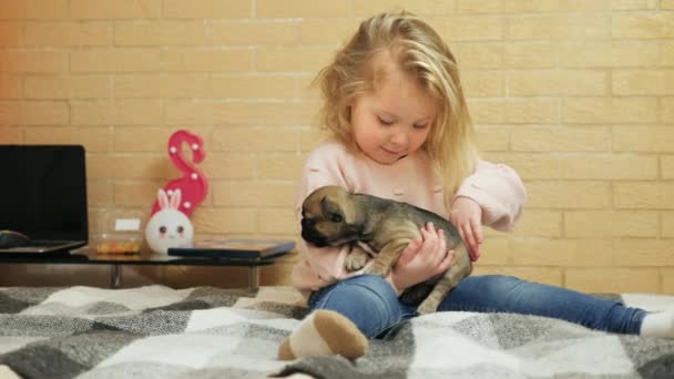 Liten flicka smeker försiktigt sin valp medan hon sitter på sängen — Stockvideo