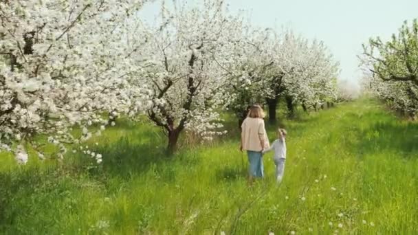 Madre e hijo pequeño están caminando en el jardín floreciente — Vídeos de Stock