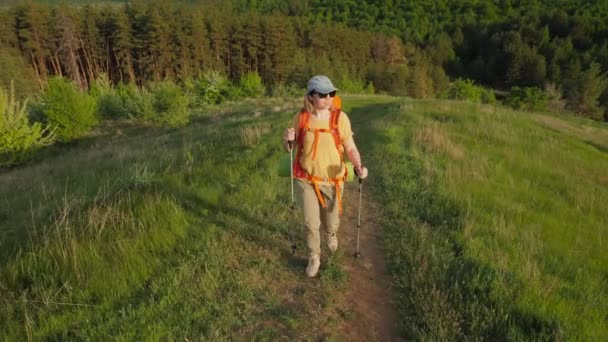 Młoda kobieta podróżnik z plecakiem i trekking bieguny wspinaczka na górę — Wideo stockowe