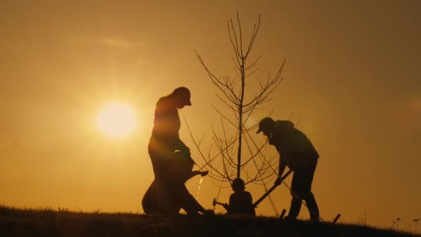 Una famiglia con bambini che si prende cura dell'albero piantato al tramonto — Video Stock