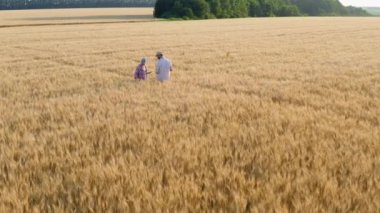Hava manzaralı çiftçiler buğday tarlasında tabletle çalışıyorlar.