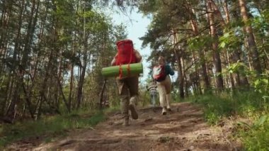 Bir grup yürüyüşçü çam ormanındaki dağa tırmanır.