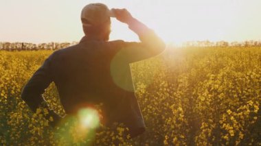Gün batımında kolza tohumu tarlasını inceleyen bir çiftçinin arka görüntüsü