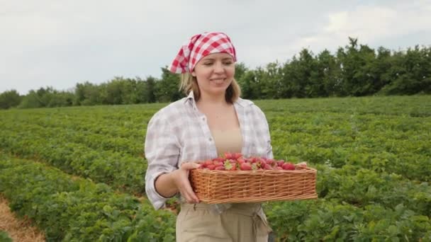 Woman carries a wicker box full of ripe strawberries — Stock Video