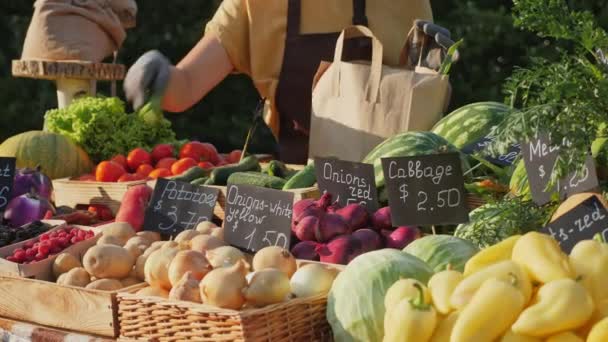 Žena dává čerstvou zeleninu do papírové tašky na místním farmářském trhu — Stock video