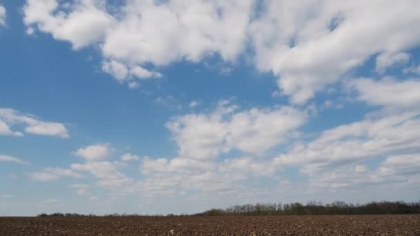 Czas-lapse chmury formują w błękitnym niebie nad rolniczym polem — Wideo stockowe