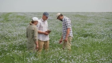Genç çiftçilerden oluşan bir ekip tarladaki keten çiçeklerini inceliyor.