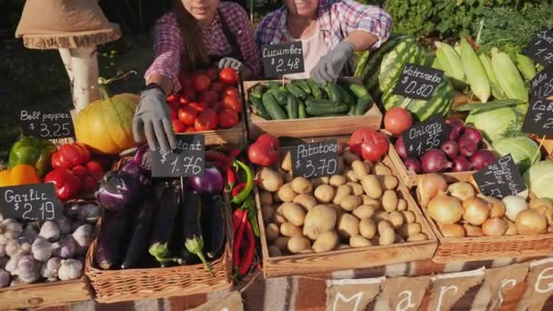 Mujer mayor con su nieta están negociando juntos en el mercado de agricultores — Vídeo de stock