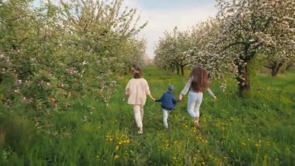 Zadní pohled na ženu se svými dětmi procházející kvetoucím jablečným sadem — Stock video