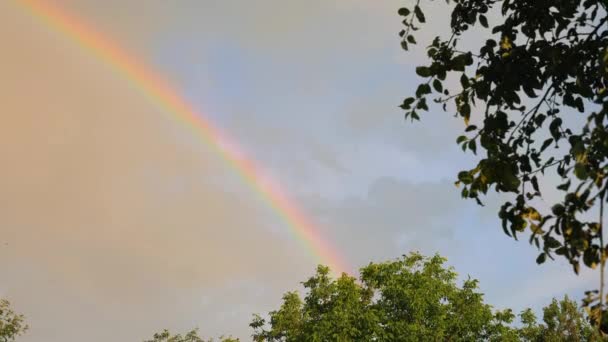 Um belo arco-íris brilhante formado no céu após a chuva — Vídeo de Stock