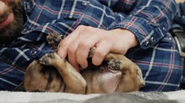 Bir adam kanepeye uzanmış bir köpek yavrusuyla oynuyor.