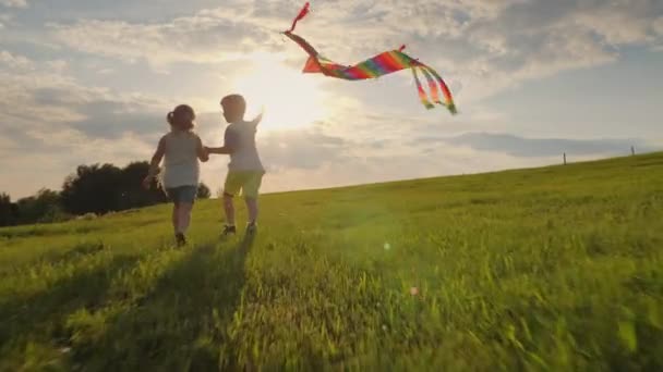 Małe dzieci bawiące się latawcem na łące — Wideo stockowe