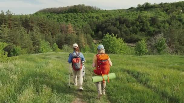 Caminhadas em família na natureza — Vídeo de Stock