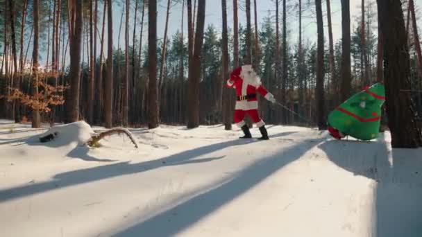 Kerstman trekt slee met kerstboom pop — Stockvideo