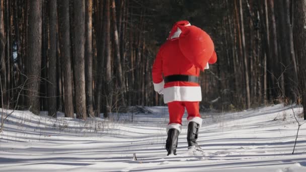 圣诞老人在冬日的阳光明媚的森林里跳舞很滑稽 — 图库视频影像