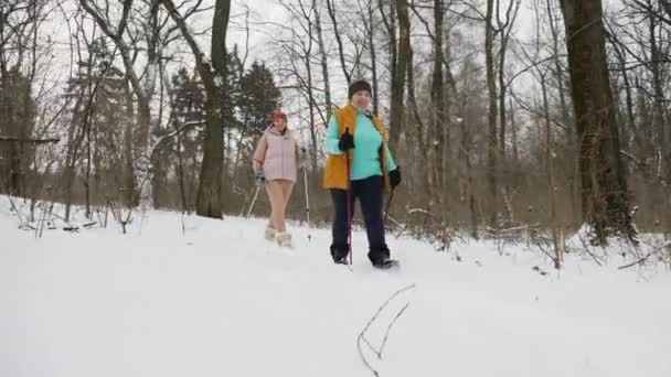 Активная пожилая женщина с дочерью практикует нордическую ходьбу — стоковое видео