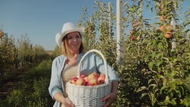 Žena farmář nese košík s úrodou jablek podél jablečného sadu — Stock video