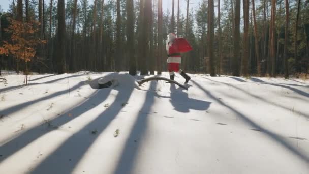 Santa Claus camina por el bosque en invierno — Vídeo de stock