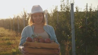 Bir kadın çiftçi olgun kırmızı elmalarla dolu bir sandık taşıyor.