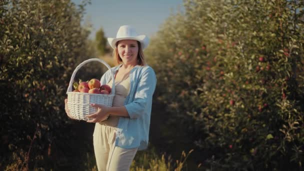 Portrait of smiling woman with full basket of apples in apple orchard — Stock Video