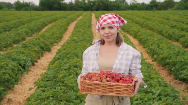 Mulher carrega uma caixa de vime cheia de morangos maduros — Vídeo de Stock