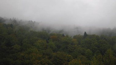 Puslu dağ yamaçları sonbahar ormanlarıyla kaplı turuncu, yeşil ve kahverengi gölgelerle tepeler arasında sürüklenen bulutlarla sonbaharda sakin ve gizemli bir doğa atmosferi yaratıyor.