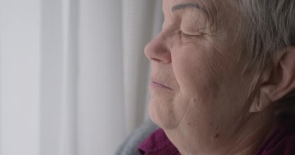 老女は窓のそばで泣きながら顔を覆う 年配の女性の涙 落ち込んで悲しい状態 — ストック動画