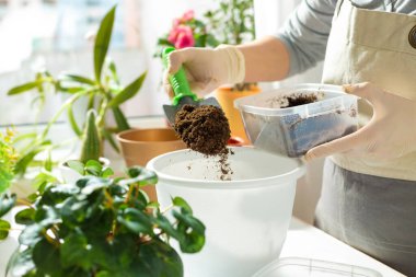 Kadının kürek kullanarak toprağı küçük konteynıra koyduğu kesitli bir kare.