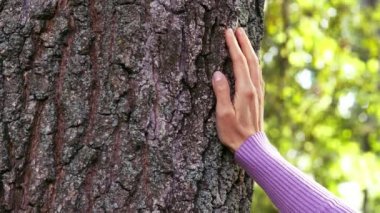 Ağaç gövdesine dokunan bir elin yakın plan çekimi.