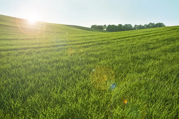 Verde colina y luz de rayo — Foto de Stock