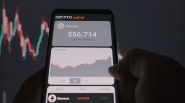 : Cep telefonundaki kripto para cüzdanlarının animasyonu. Mobil uygulama cüzdanı şifreli akıllı telefon. Kripto para ticareti kavramı