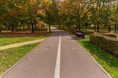 Sonbahar parkındaki Paved yolu bisiklet ve yaya bölgelerindeki işaretlere bölünmüş..